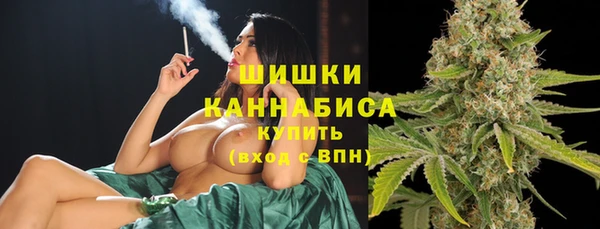 прущие грибы Вяземский