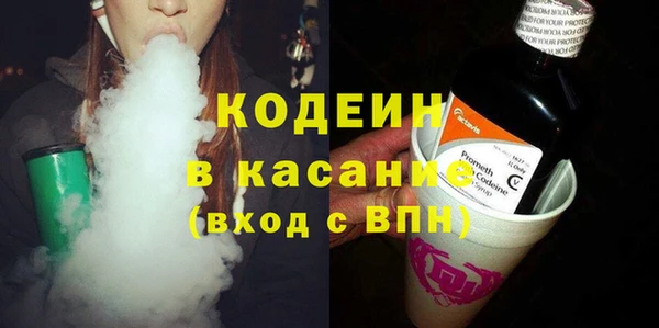прущие грибы Вяземский