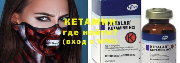 прущие грибы Вяземский