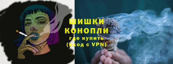 прущие грибы Вяземский