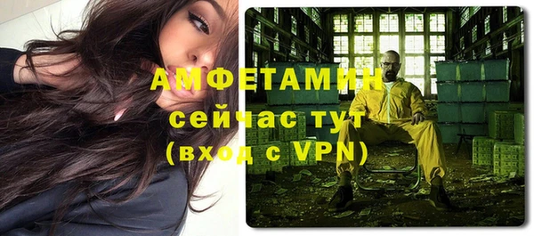 прущие грибы Вяземский