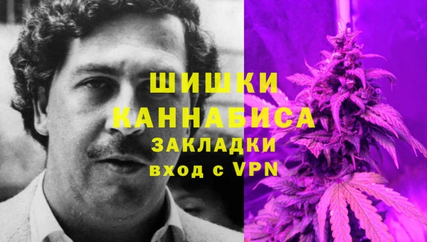 прущие грибы Вяземский