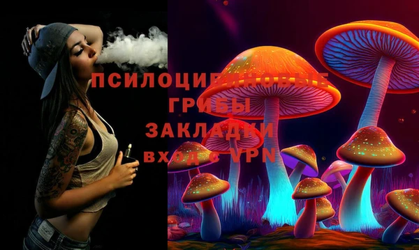 прущие грибы Вяземский