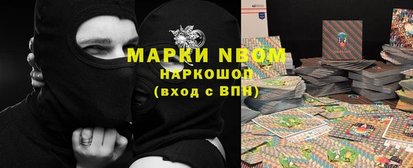 прущие грибы Вяземский