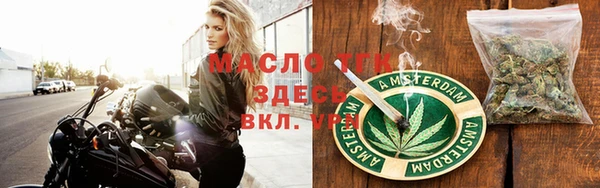 прущие грибы Вяземский