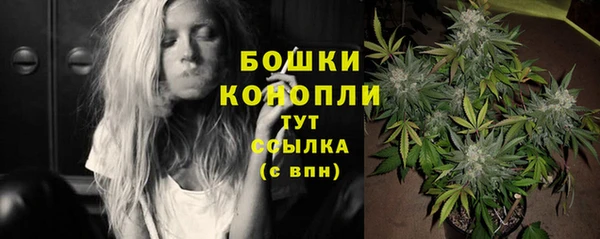 прущие грибы Вяземский