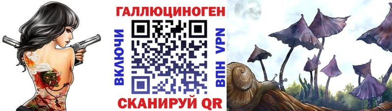 Купить где  Валуйки  Псилоцибиновые грибы Psilocybine cubensis 